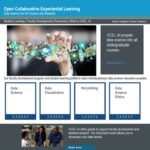 PI: The Sub-award of the NSF award – OCEL.AI